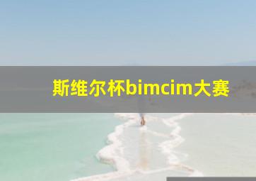 斯维尔杯bimcim大赛