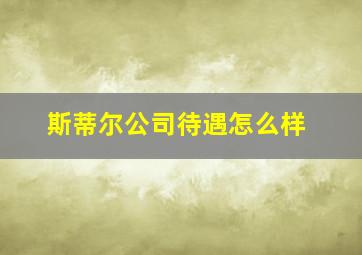 斯蒂尔公司待遇怎么样