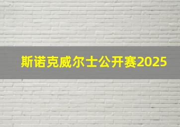 斯诺克威尔士公开赛2025