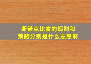 斯诺克比赛的规则和策略分别是什么意思啊