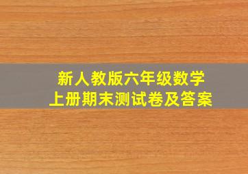 新人教版六年级数学上册期末测试卷及答案