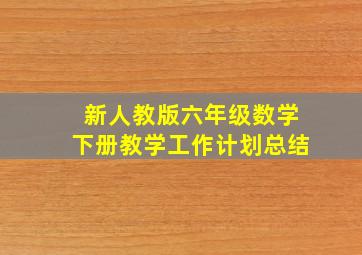 新人教版六年级数学下册教学工作计划总结