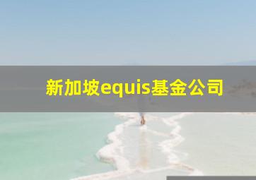 新加坡equis基金公司