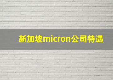 新加坡micron公司待遇