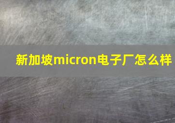 新加坡micron电子厂怎么样