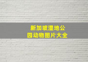 新加坡湿地公园动物图片大全