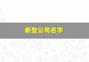 新型公司名字