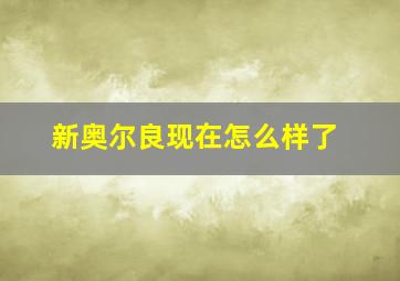 新奥尔良现在怎么样了