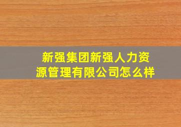 新强集团新强人力资源管理有限公司怎么样