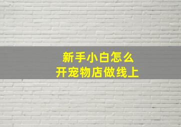 新手小白怎么开宠物店做线上