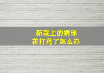 新栽上的绣球花打蔫了怎么办