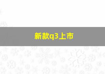 新款q3上市