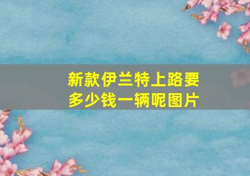 新款伊兰特上路要多少钱一辆呢图片