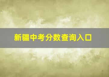 新疆中考分数查询入口