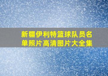 新疆伊利特篮球队员名单照片高清图片大全集