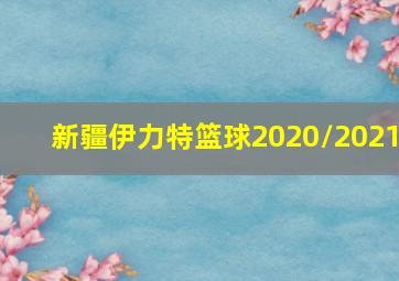 新疆伊力特篮球2020/2021