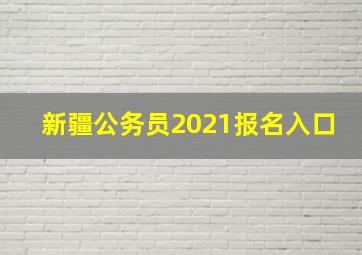 新疆公务员2021报名入口