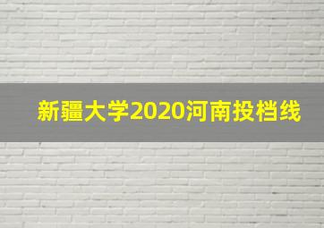 新疆大学2020河南投档线