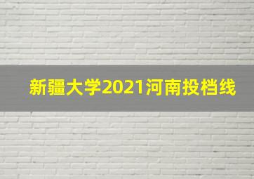 新疆大学2021河南投档线