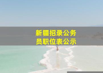 新疆招录公务员职位表公示