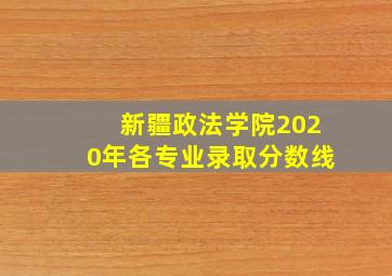 新疆政法学院2020年各专业录取分数线