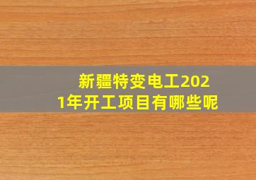 新疆特变电工2021年开工项目有哪些呢