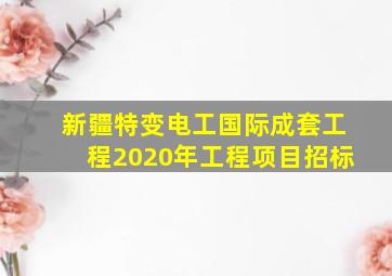 新疆特变电工国际成套工程2020年工程项目招标