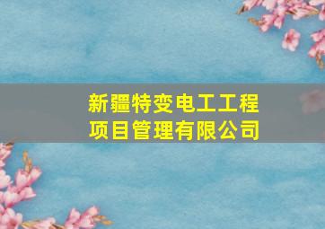 新疆特变电工工程项目管理有限公司