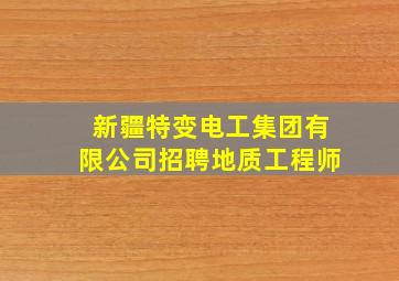 新疆特变电工集团有限公司招聘地质工程师