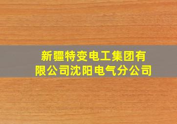 新疆特变电工集团有限公司沈阳电气分公司