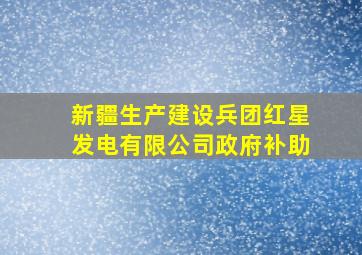 新疆生产建设兵团红星发电有限公司政府补助