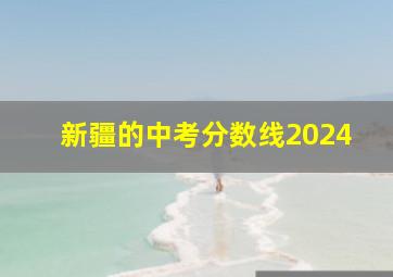 新疆的中考分数线2024