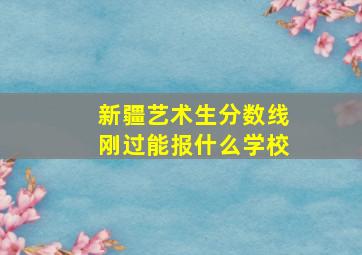 新疆艺术生分数线刚过能报什么学校