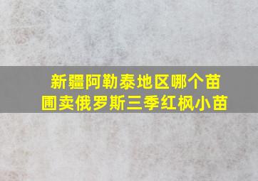 新疆阿勒泰地区哪个苗圃卖俄罗斯三季红枫小苗