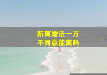 新离婚法一方不同意能离吗