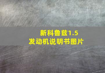 新科鲁兹1.5发动机说明书图片