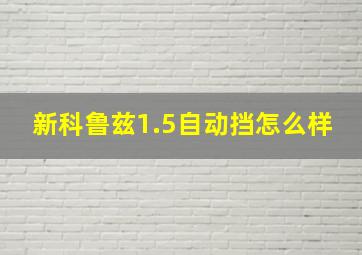 新科鲁兹1.5自动挡怎么样