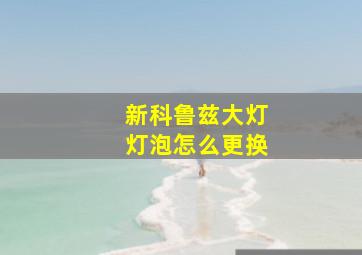 新科鲁兹大灯灯泡怎么更换