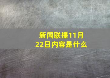 新闻联播11月22日内容是什么