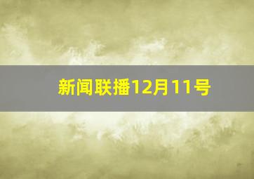 新闻联播12月11号