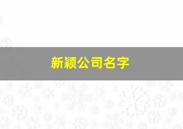 新颖公司名字