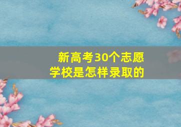 新高考30个志愿学校是怎样录取的