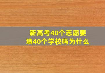 新高考40个志愿要填40个学校吗为什么