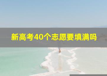 新高考40个志愿要填满吗