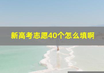 新高考志愿40个怎么填啊