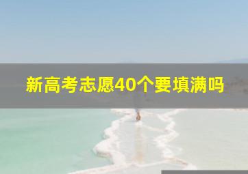 新高考志愿40个要填满吗