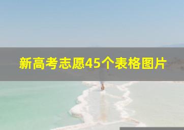 新高考志愿45个表格图片