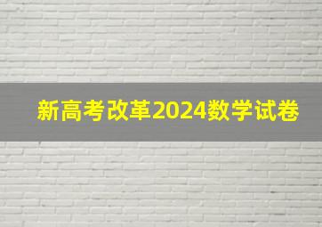 新高考改革2024数学试卷