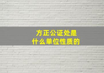 方正公证处是什么单位性质的