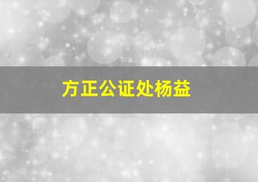 方正公证处杨益